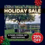 Ready Made Portable Electric Horse Corral Fencing: (Electric EconoLine 6 Panels; 2 Rails)