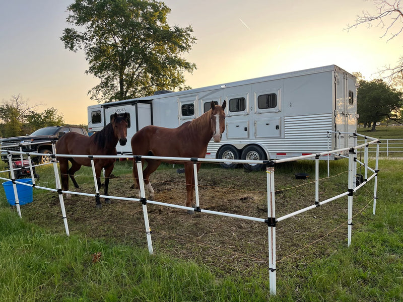 Horses in a Camp Corrals portable corral