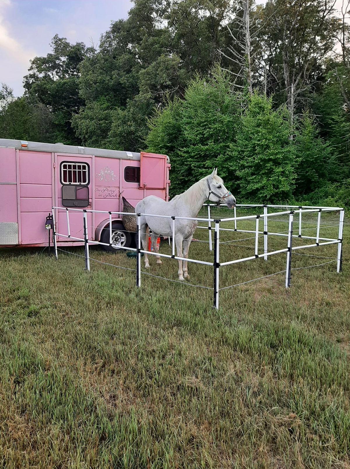 Portable electric horse corral fencing with eight panels and two rails, featuring a gray horse near a pink trailer.