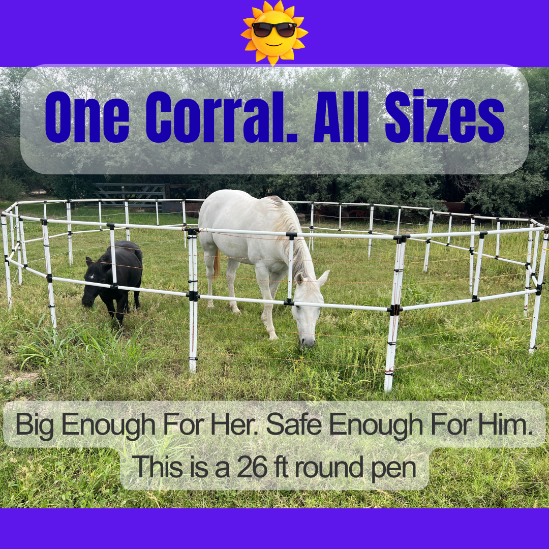 BOGO Ready Made Portable Electric Horse Corral Fencing: (Electric EconoLine 8x2 = 16 Panels; 2 Rails)