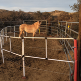 Ready Made Portable Electric Horse Corral Fencing: (Electric EconoLine 8 Panels; 2 Rails)