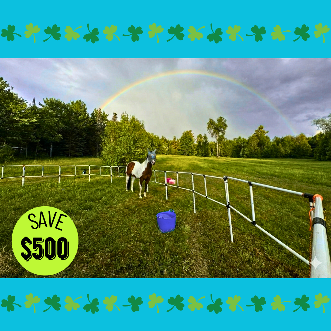 BOGO Ready Made Portable Electric Horse Corral Fencing: (Electric EconoLine 8x2 = 16 Panels; 2 Rails)