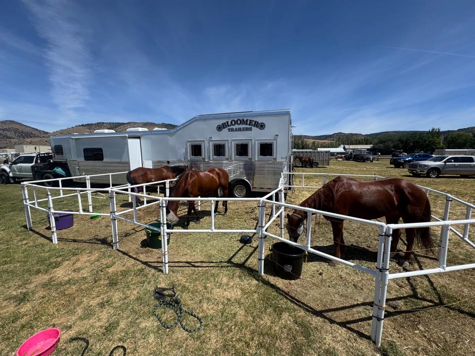 Ready Made Portable Electric Horse Corral Fencing: (Electric EconoLine 14+4=18 Panels; 2 Rails)