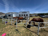 Ready Made Portable Electric Horse Corral Fencing: (Electric EconoLine 14+4=18 Panels; 2 Rails)