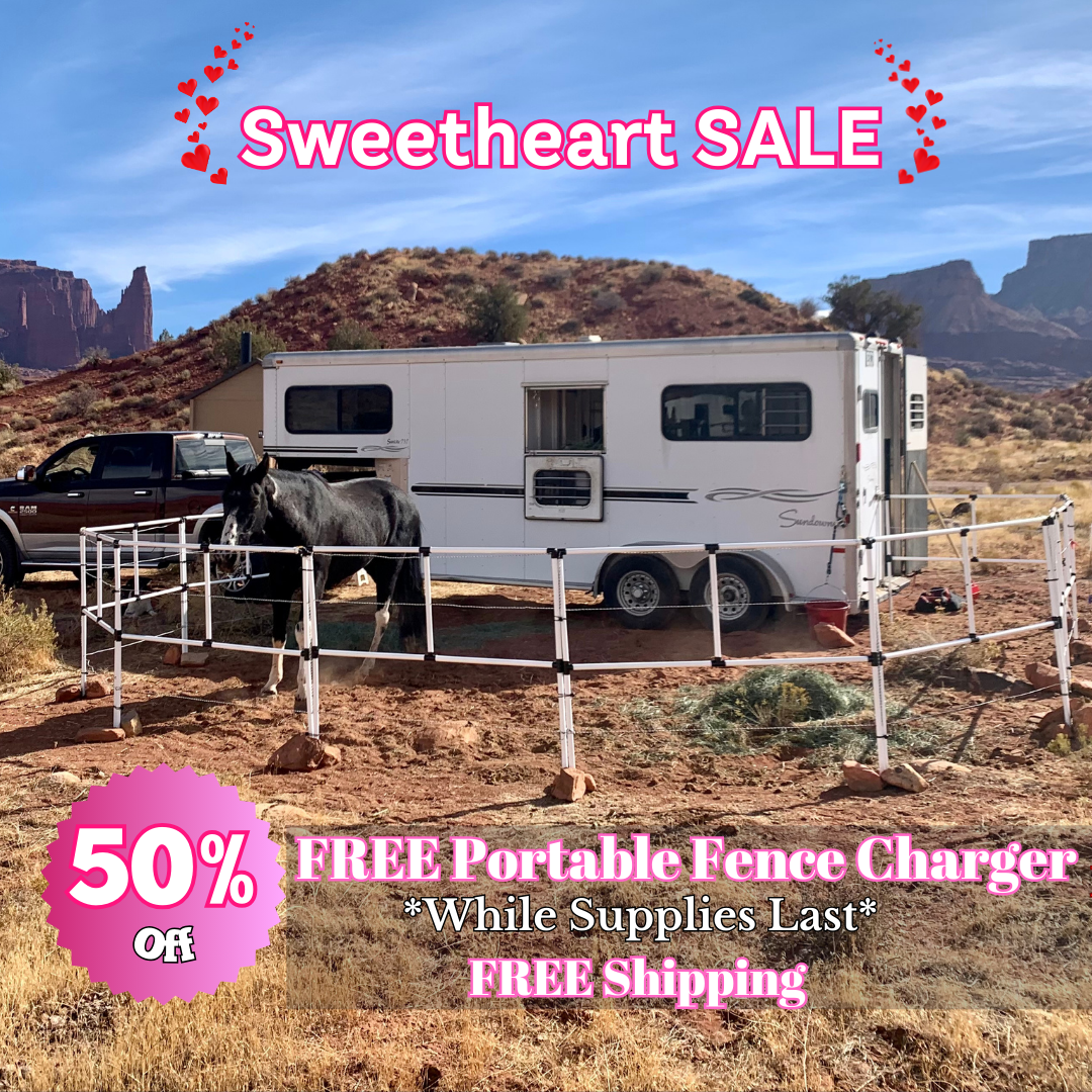 Ready Made Portable Electric Horse Corral Fencing: (Electric EconoLine 8 Panels; 2 Rails)