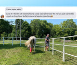 Modular Horse Corral Portable Panel Fencing: (Liberty 14 Panels; 3 Rails)