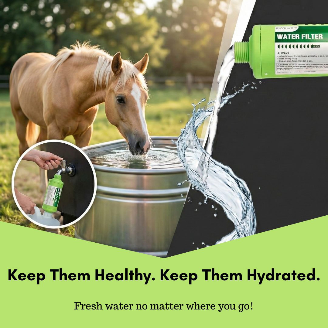 Water Filter