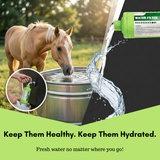 Water Filter