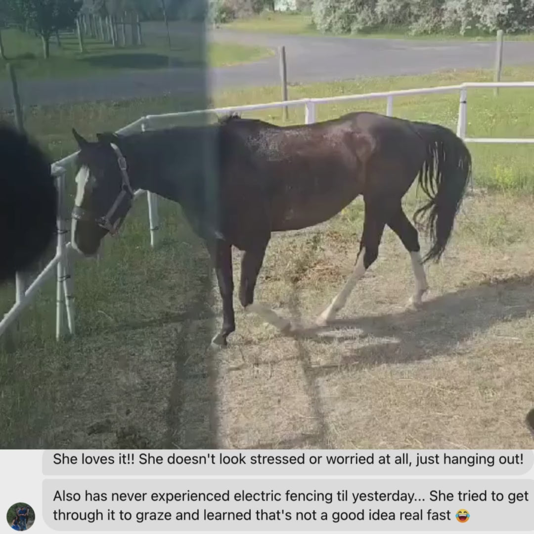 BOGO Buy 6 Get 6 50% OFF: Heavy-Duty Electric Ready-Made Corral (12 Panels; 2 Rails)