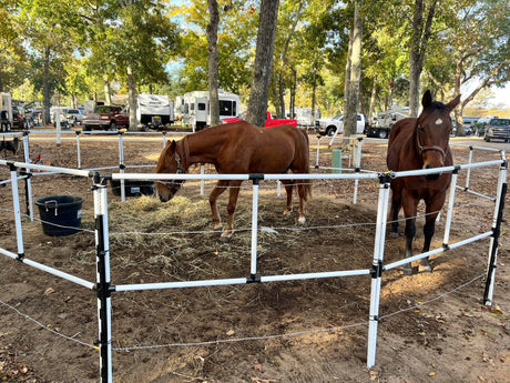 Ready Made Portable Electric Horse Corral Fencing: (Electric EconoLine 10+2=12 Panels; 2 Rails)