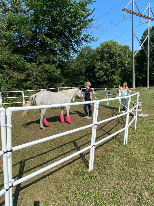 Modular Horse Corral Portable Panel Fencing: (Liberty 24 Panels; 3 Rails)