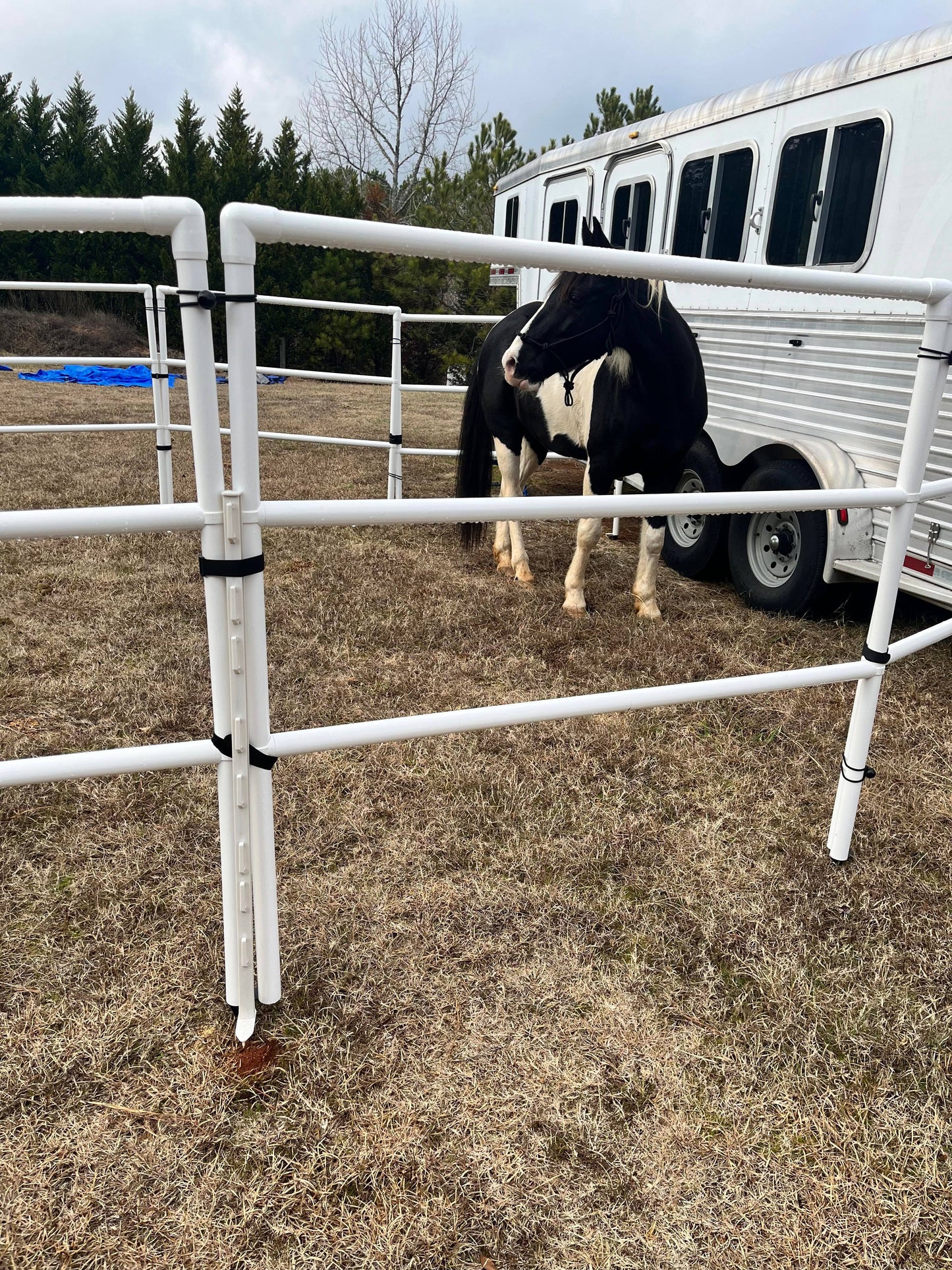 Modular Horse Corral Portable Panel Fencing: (Liberty 10 Panels; 3 Rails)